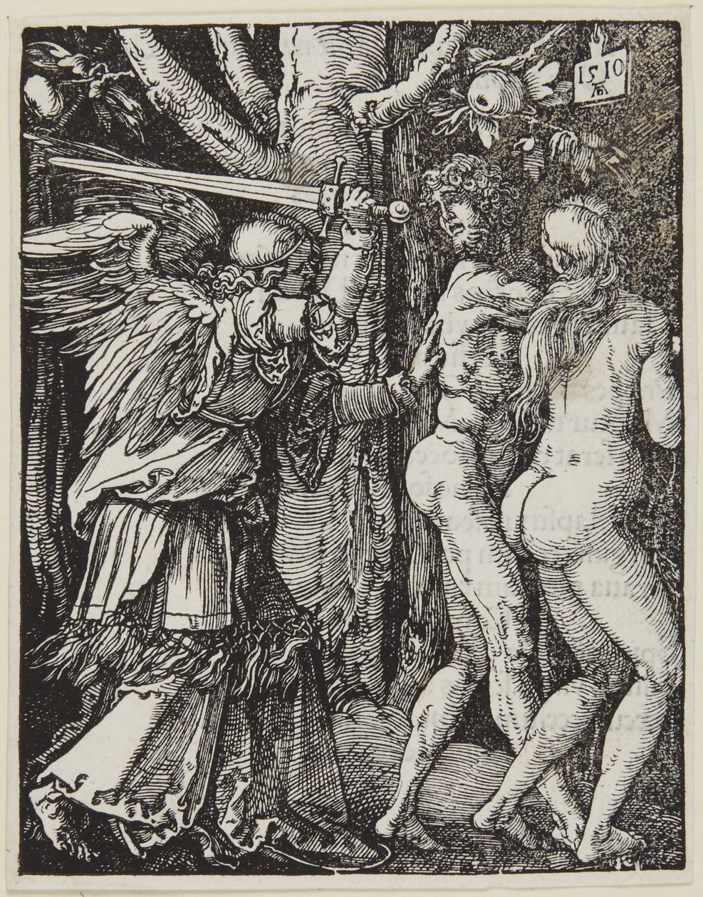 Fördrivningen ur paradiset av Albrecht Dürer