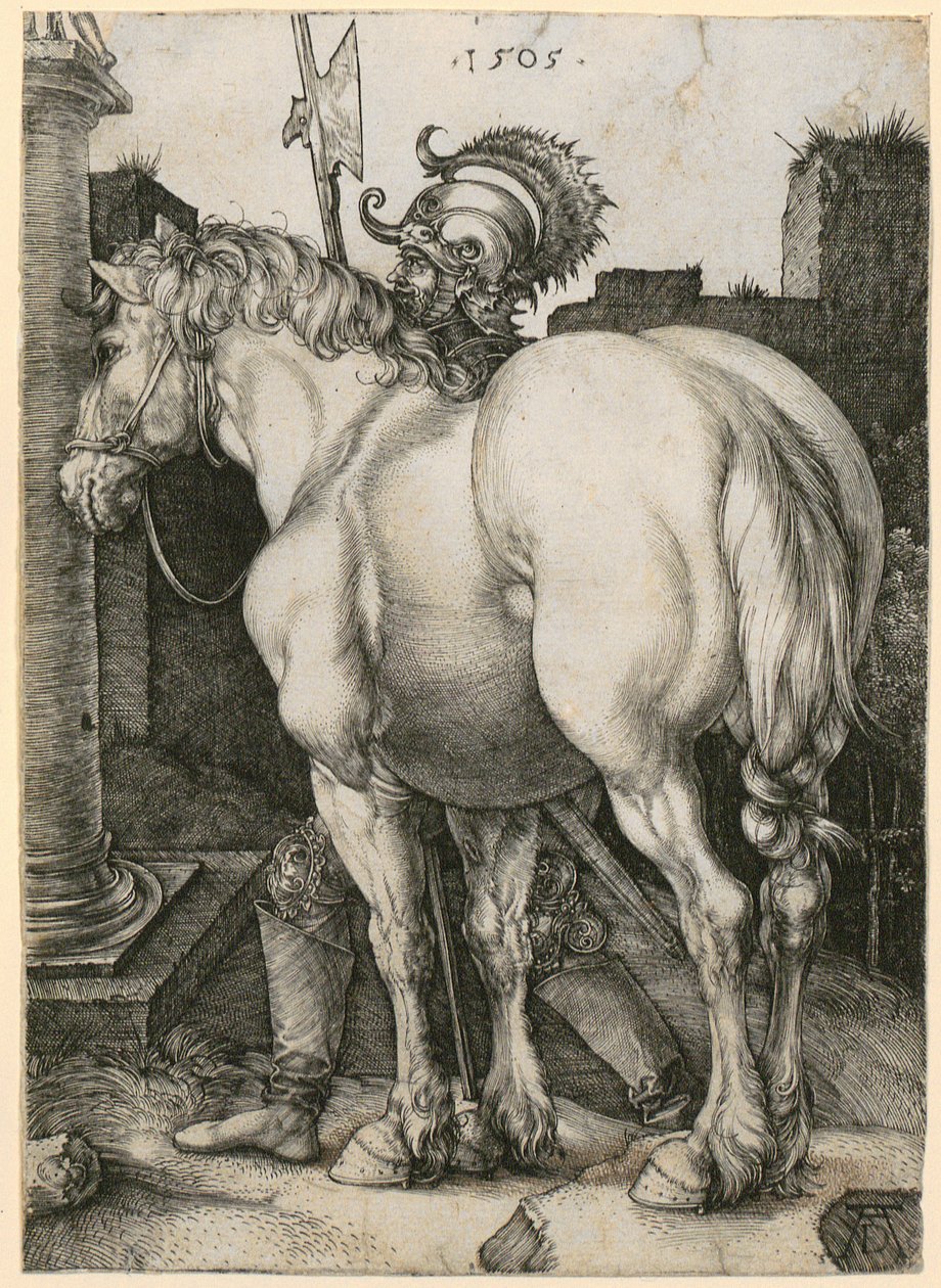 Den stora hästen av Albrecht Dürer