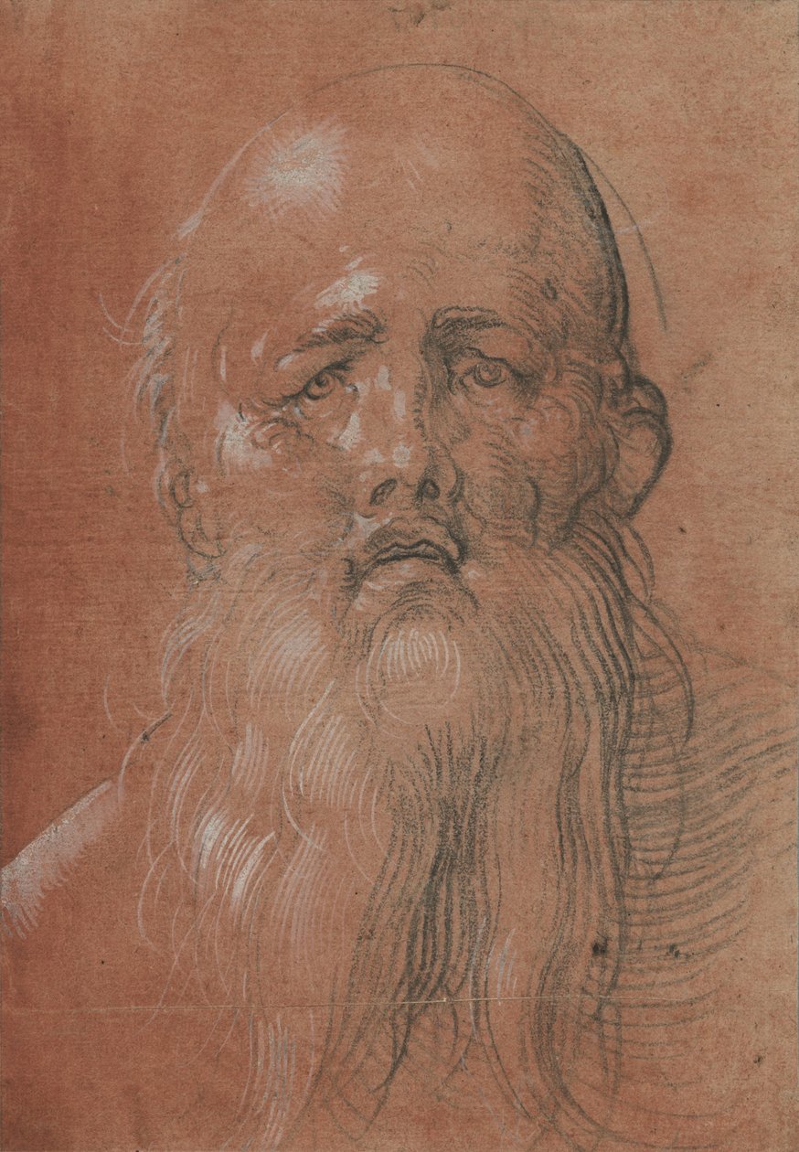Huvud av en skäggig man av Albrecht Dürer