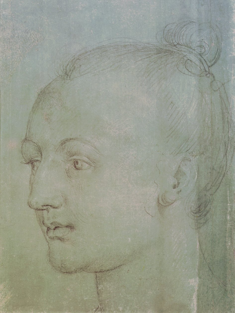 Head of a Young Woman (svart krita förhöjd med vit krita på grönt papper) av Albrecht Dürer