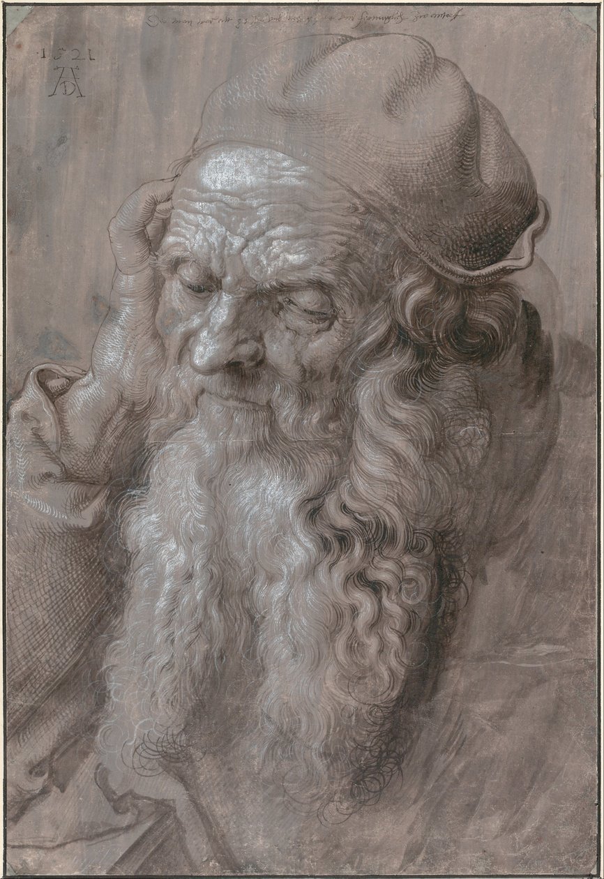 Huvudet av en gammal man av Albrecht Dürer