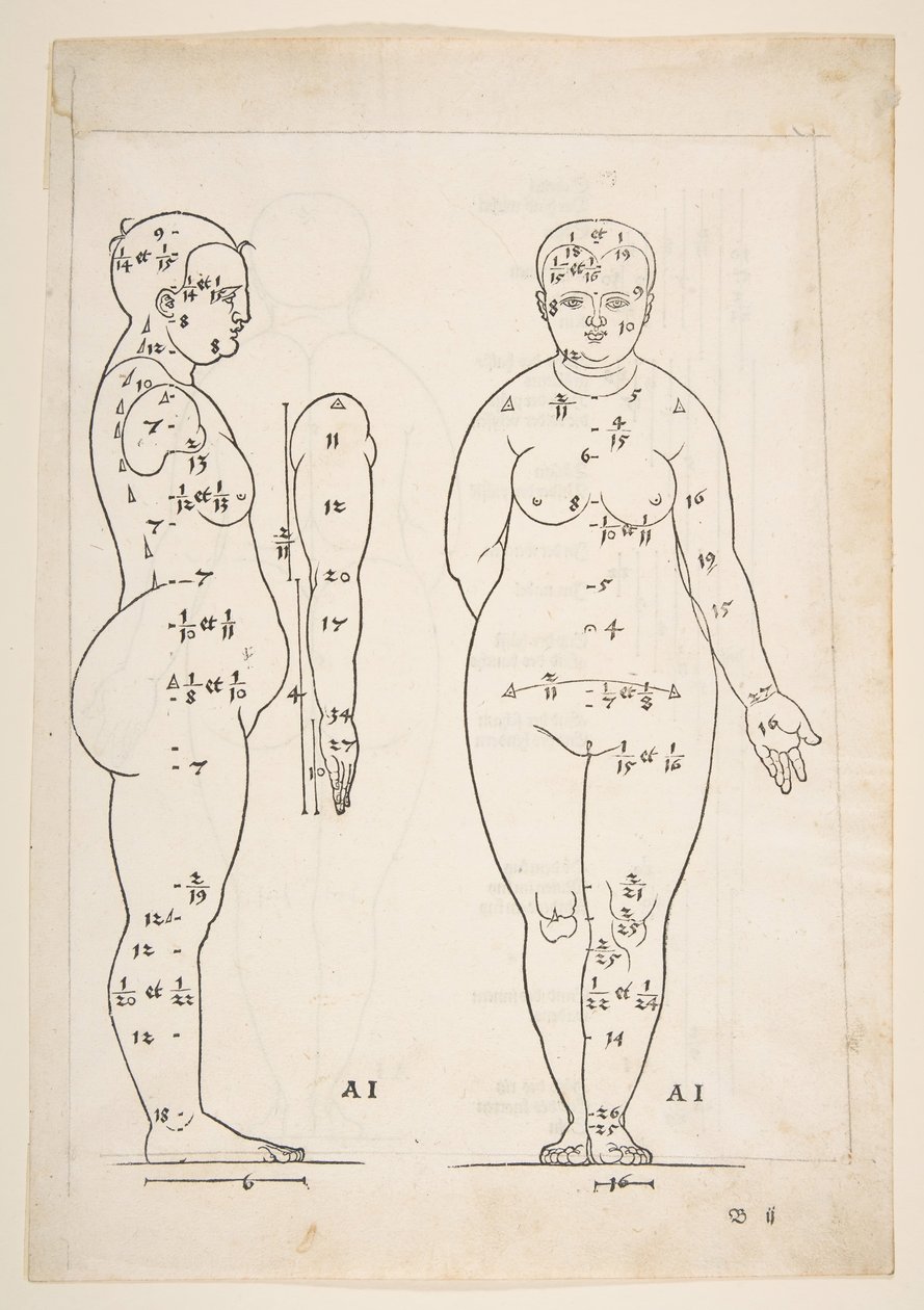 Illustration från Dürers Four Books of Human Proportion, Nürnberg, 1528.n.d. av Albrecht Dürer