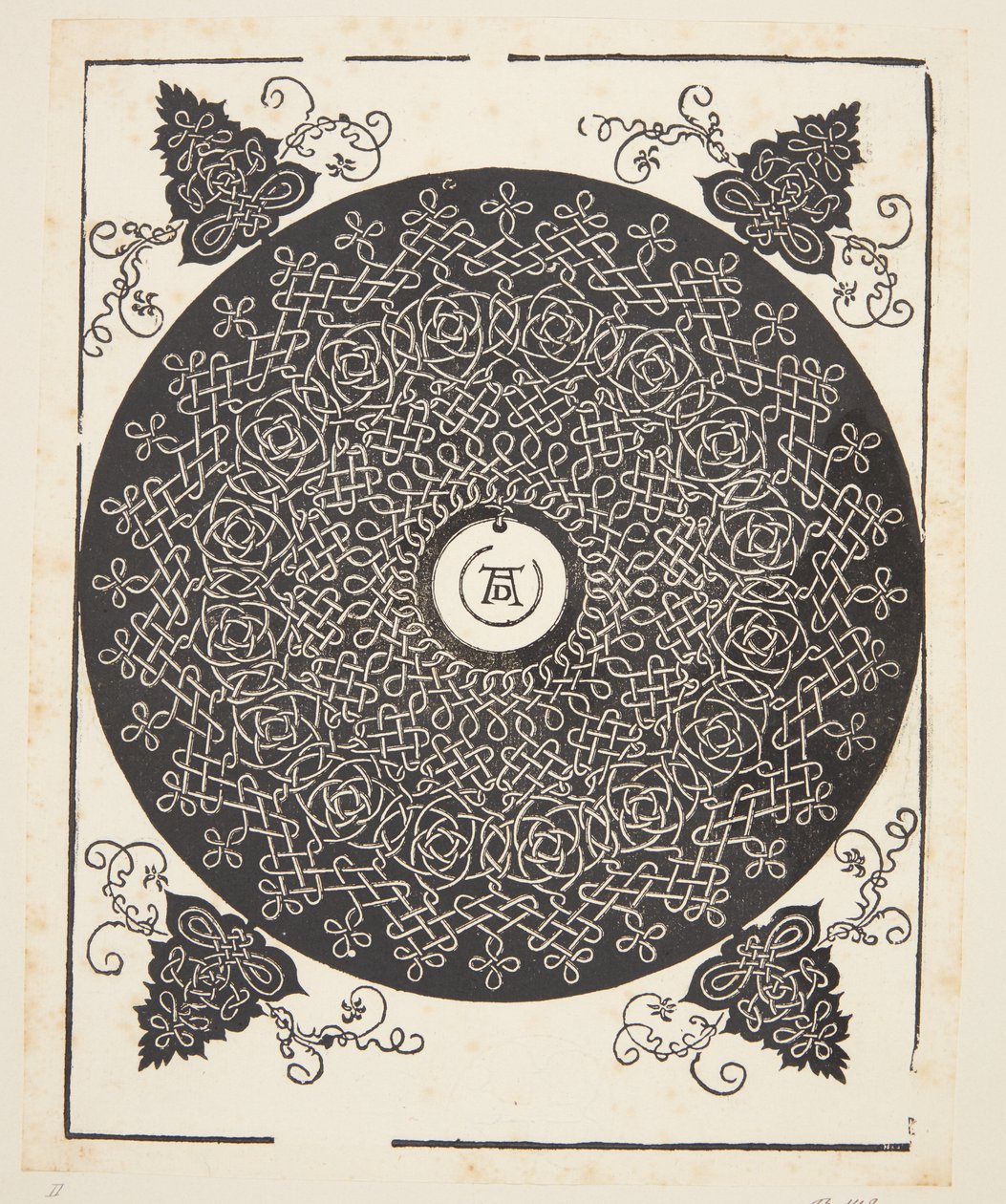 Interlaced sladdmönster med vit medaljong av Albrecht Dürer