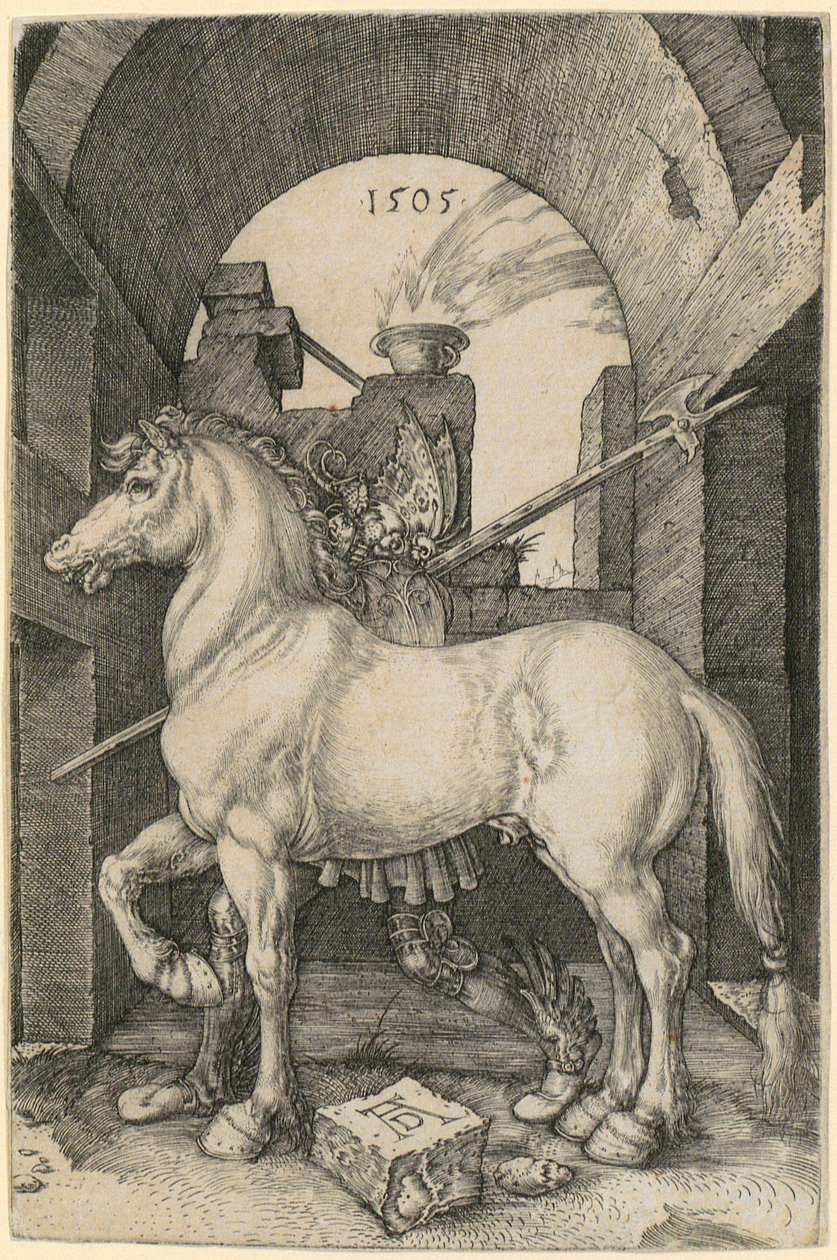 Liten häst av Albrecht Dürer