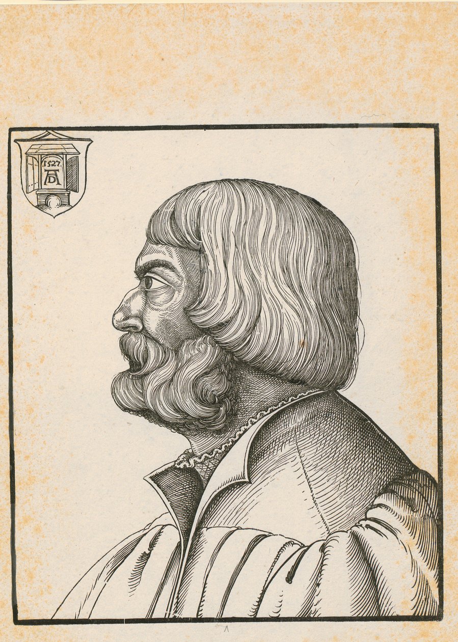 Knut med sju identiska flätor av Albrecht Dürer