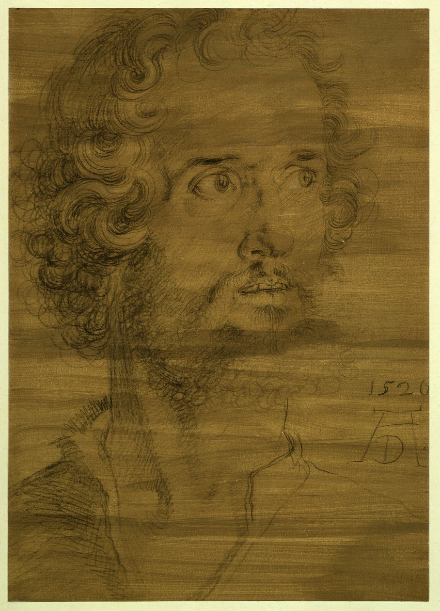 Evangelisten Markus huvud av Albrecht Dürer