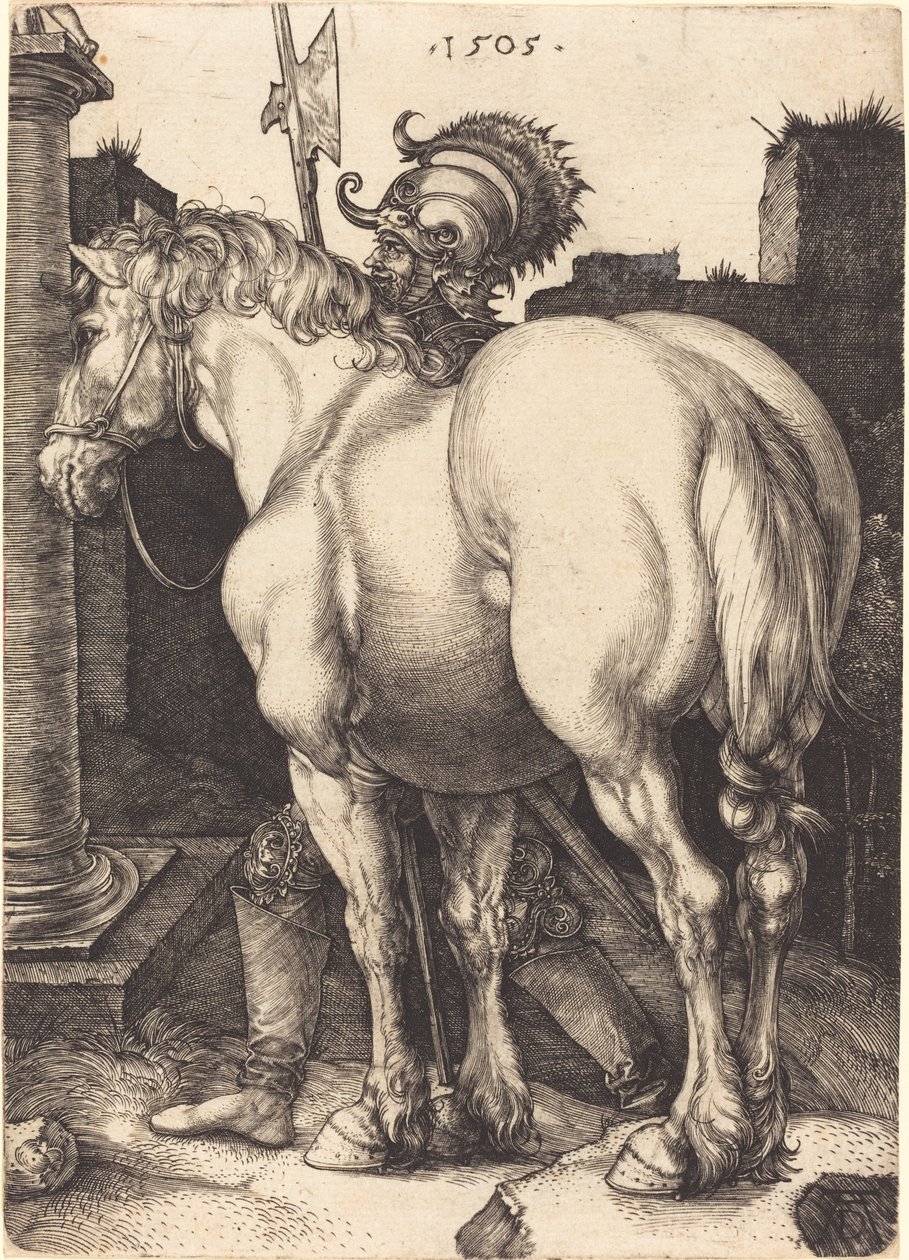Stor häst av Albrecht Dürer