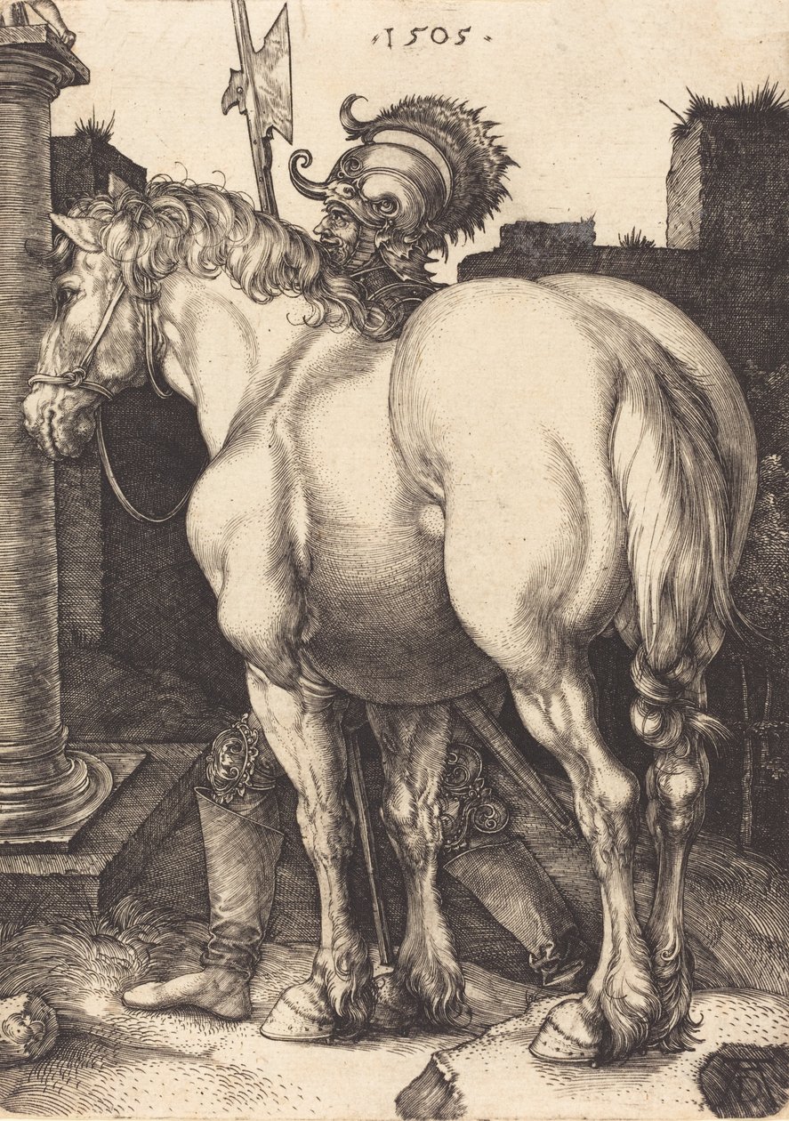 Stor häst, 1505. av Albrecht Dürer