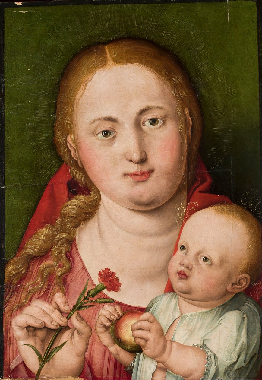Madonna med barnet och en nejlika av Albrecht Dürer