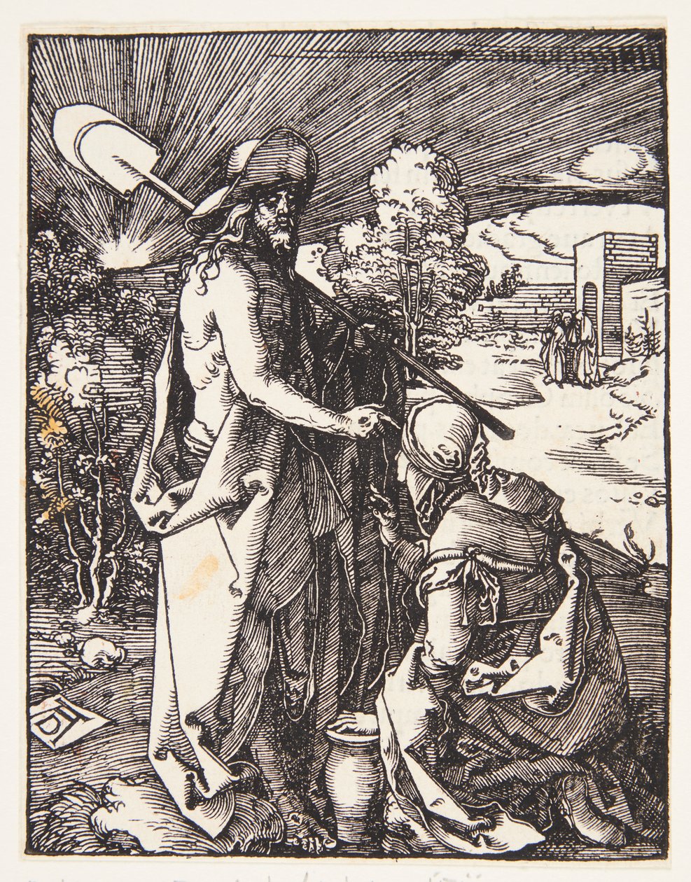 Rör mig inte av Albrecht Dürer