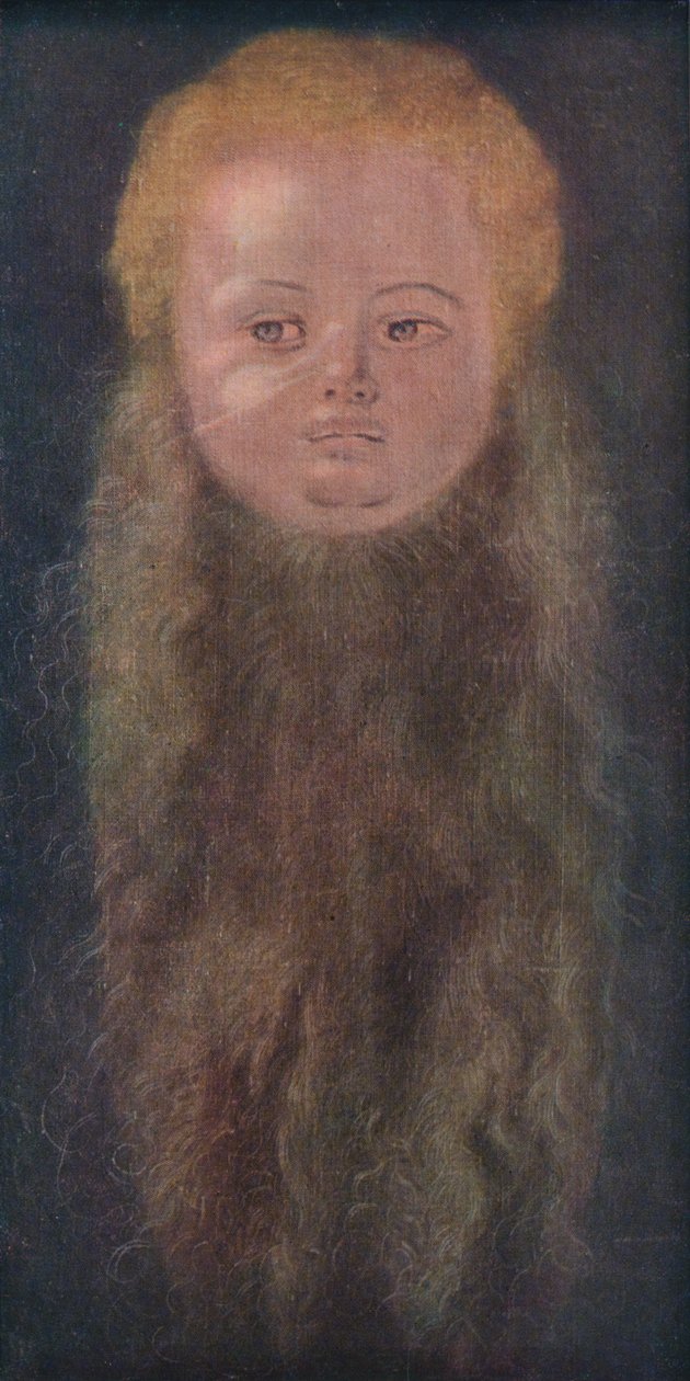Porträtt av en pojke med långt skägg, 1527, 1939 av Albrecht Dürer