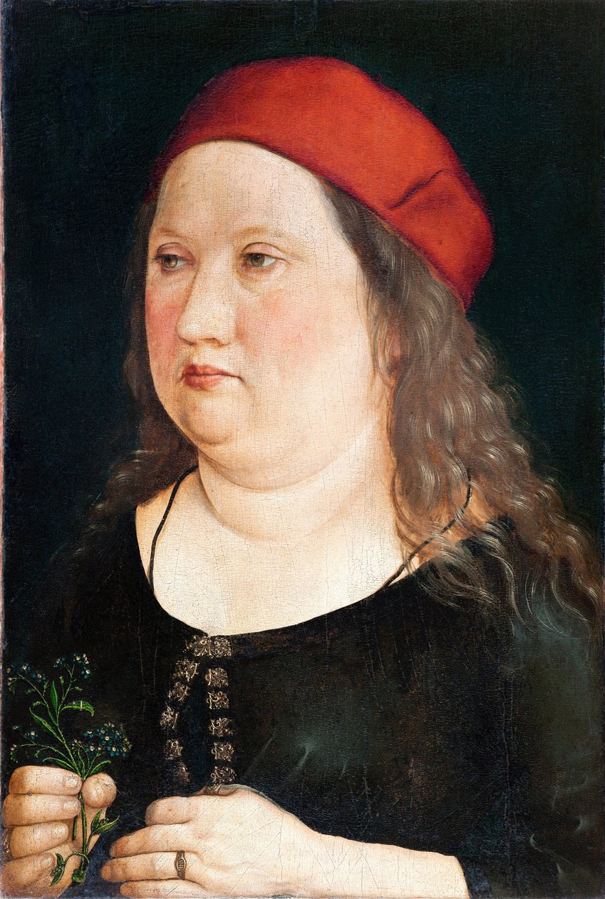 Porträtt av en man, 1497 av Albrecht Dürer