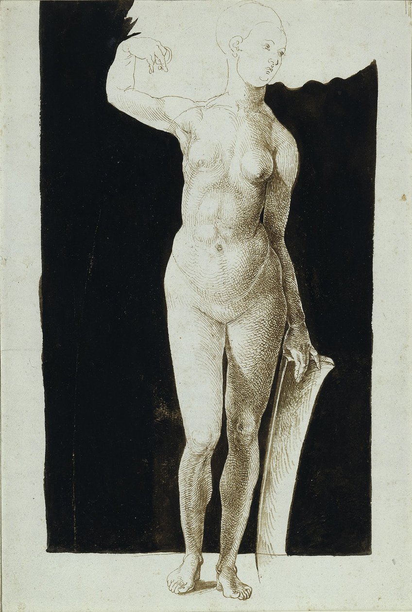Proportionstudie av kvinnlig naken med en sköld, 1500 av Albrecht Dürer