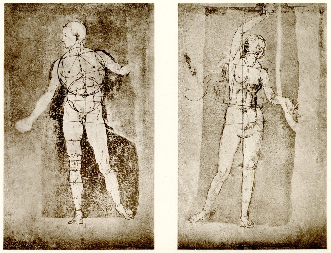 Proportionstudie om Adam och Eva av Albrecht Dürer