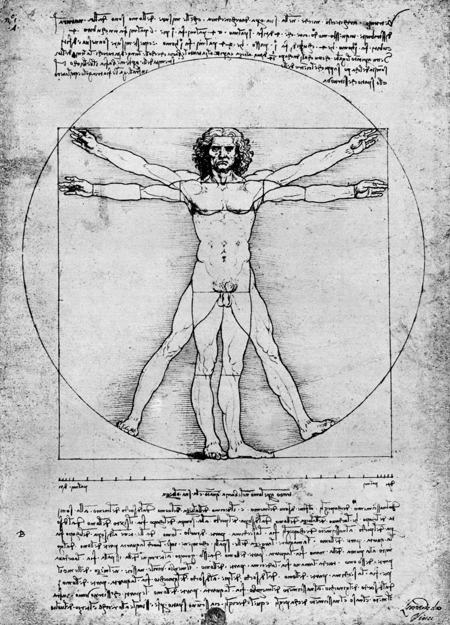 Proportioner av den mänskliga figuren, c1492, 1936 av Albrecht Dürer
