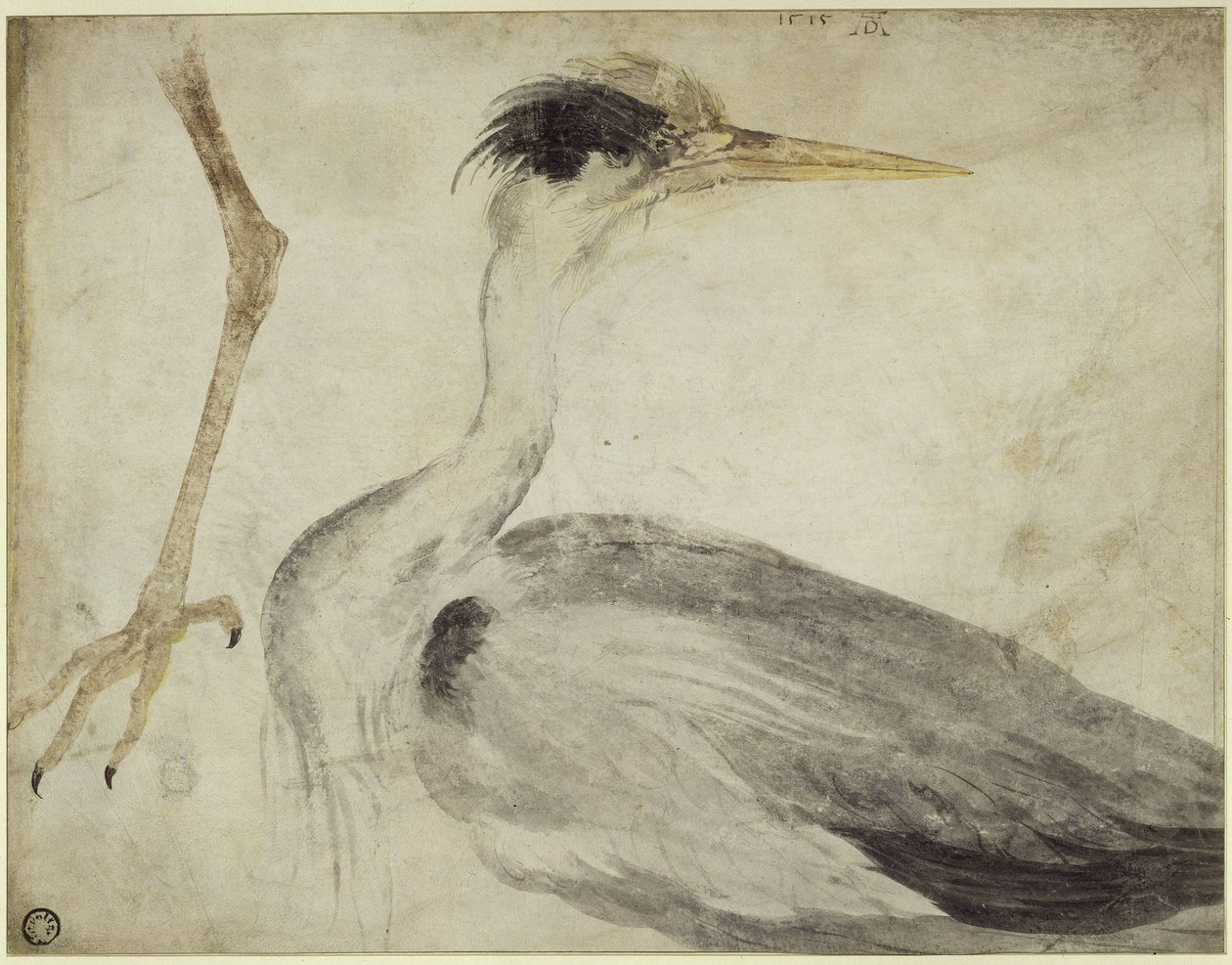 Häger av Albrecht Dürer