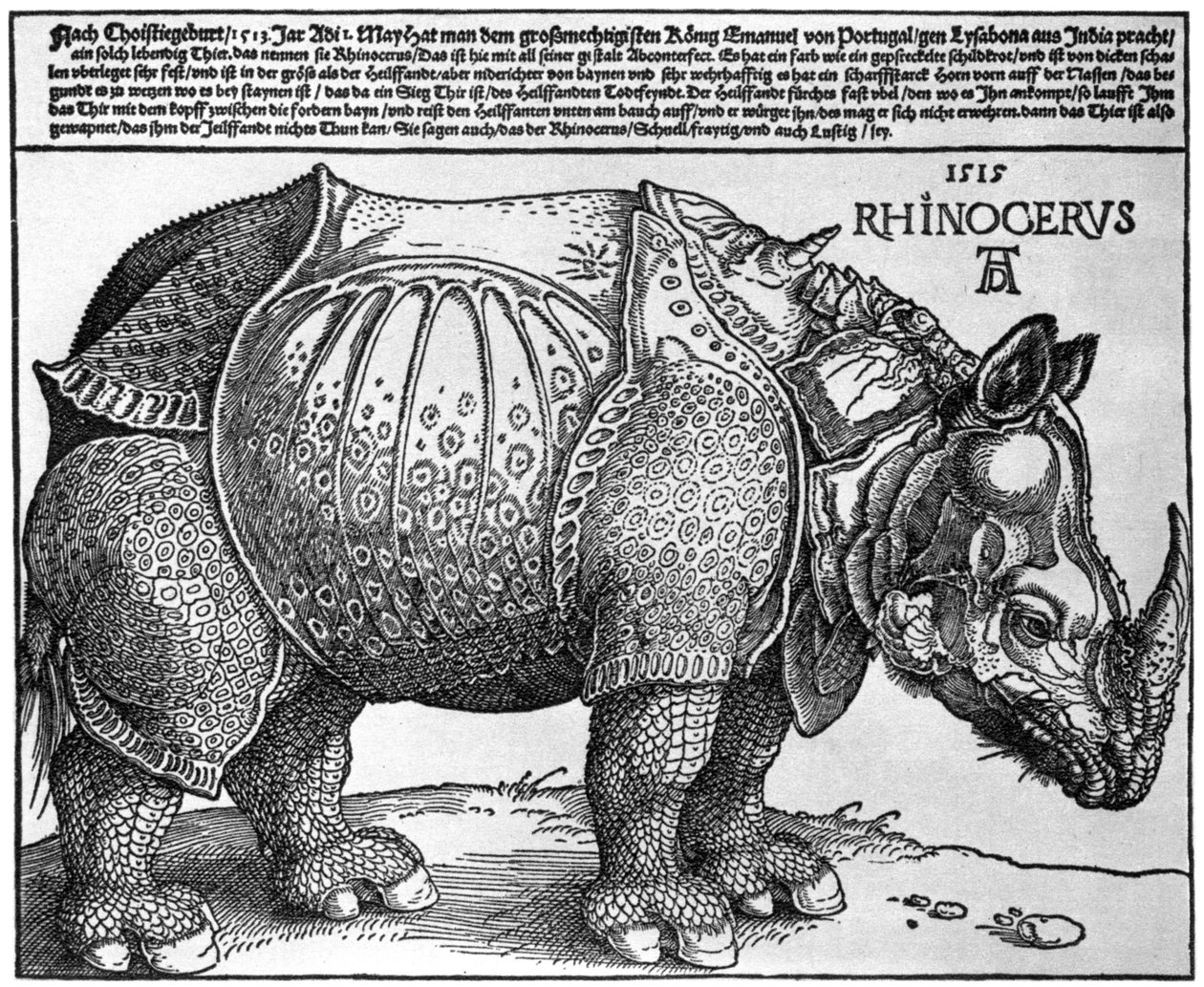 Noshörning, tryck ges till Maximilian I av kungen av Lissabon, 1515, 1936 av Albrecht Dürer
