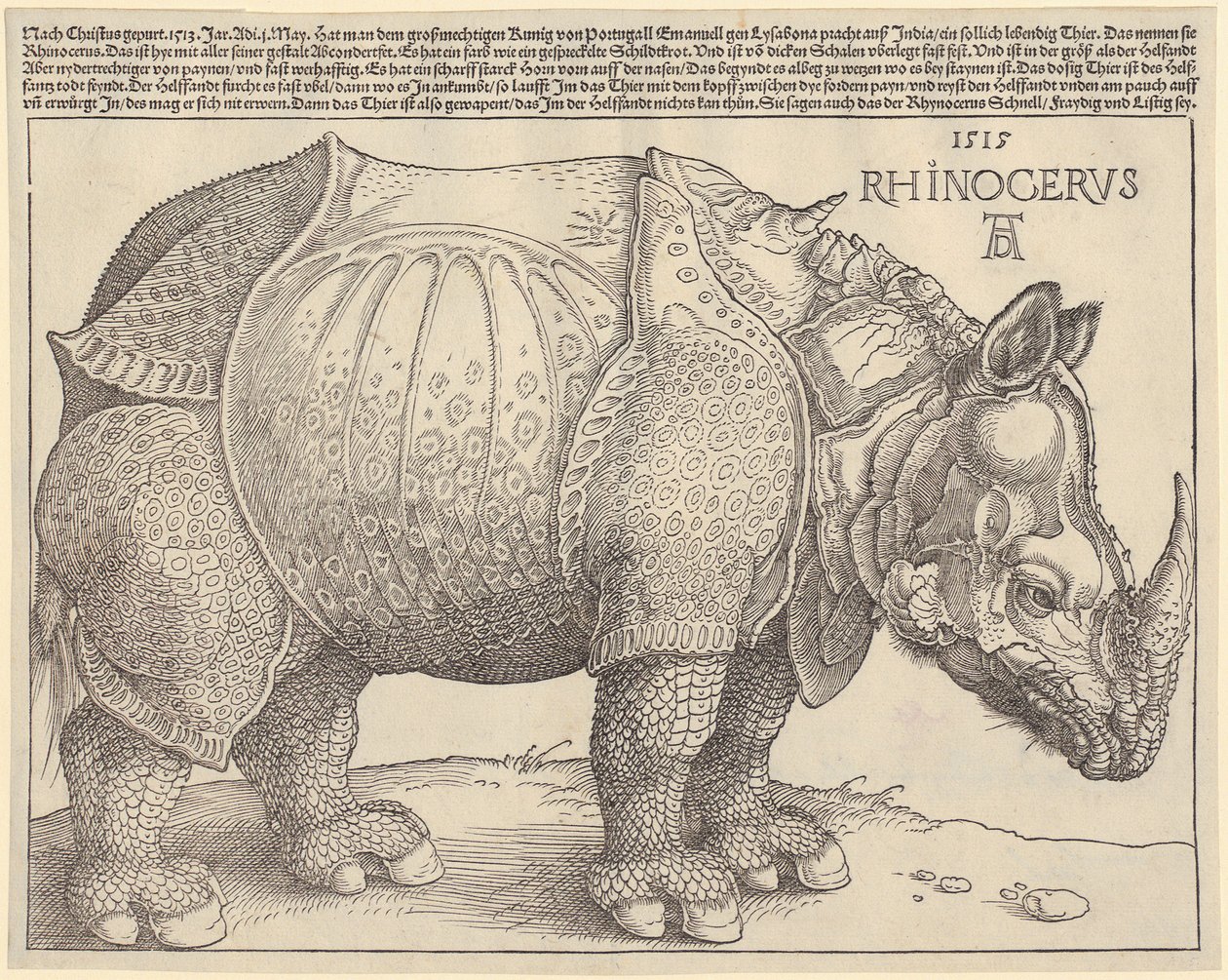 Noshörning av Albrecht Dürer