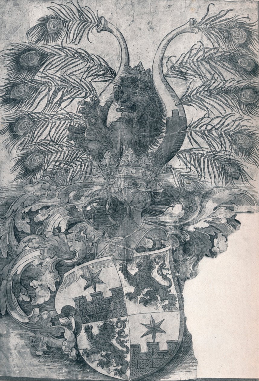 Wilhelms och Wolfgang Roggendorffs vapen, 1520 1906 av Albrecht Dürer