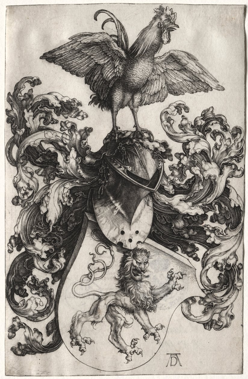 Vapenskölden med ett lejon och en kuk av Albrecht Dürer