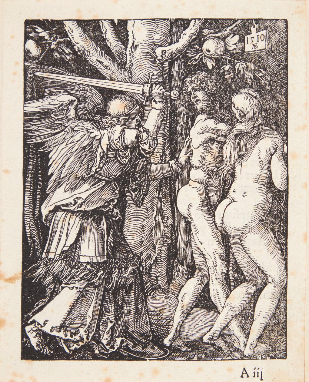 Utdrivningen ur paradiset av Albrecht Dürer