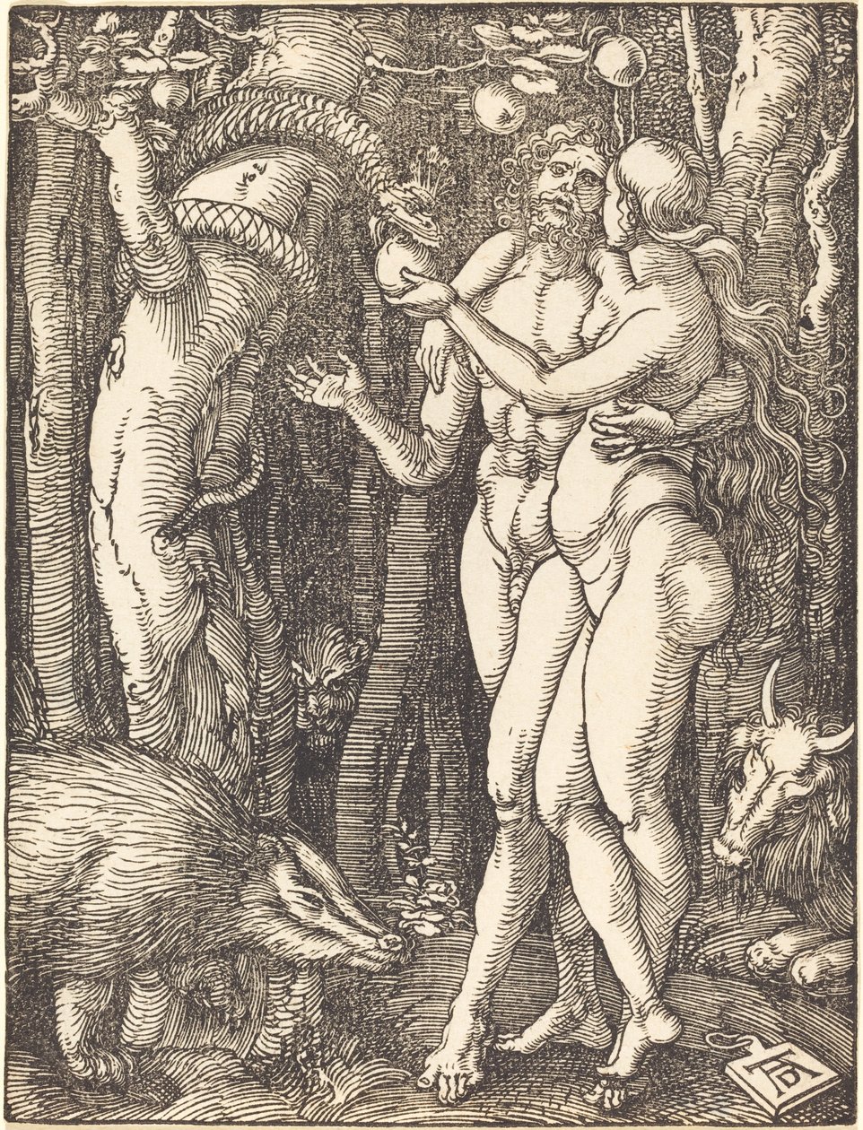 Människans fall av Albrecht Dürer