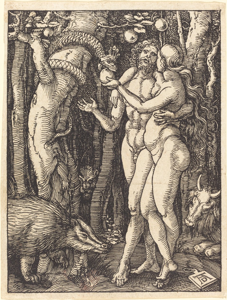 Människans fall av Albrecht Dürer