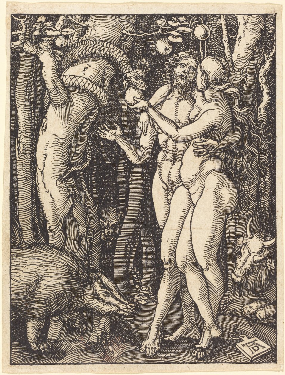 Syndafallet av Albrecht Dürer