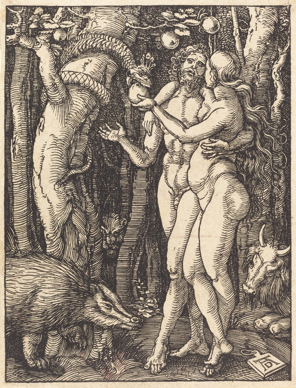 Människans fall, förmodligen ca. 15091510. av Albrecht Dürer