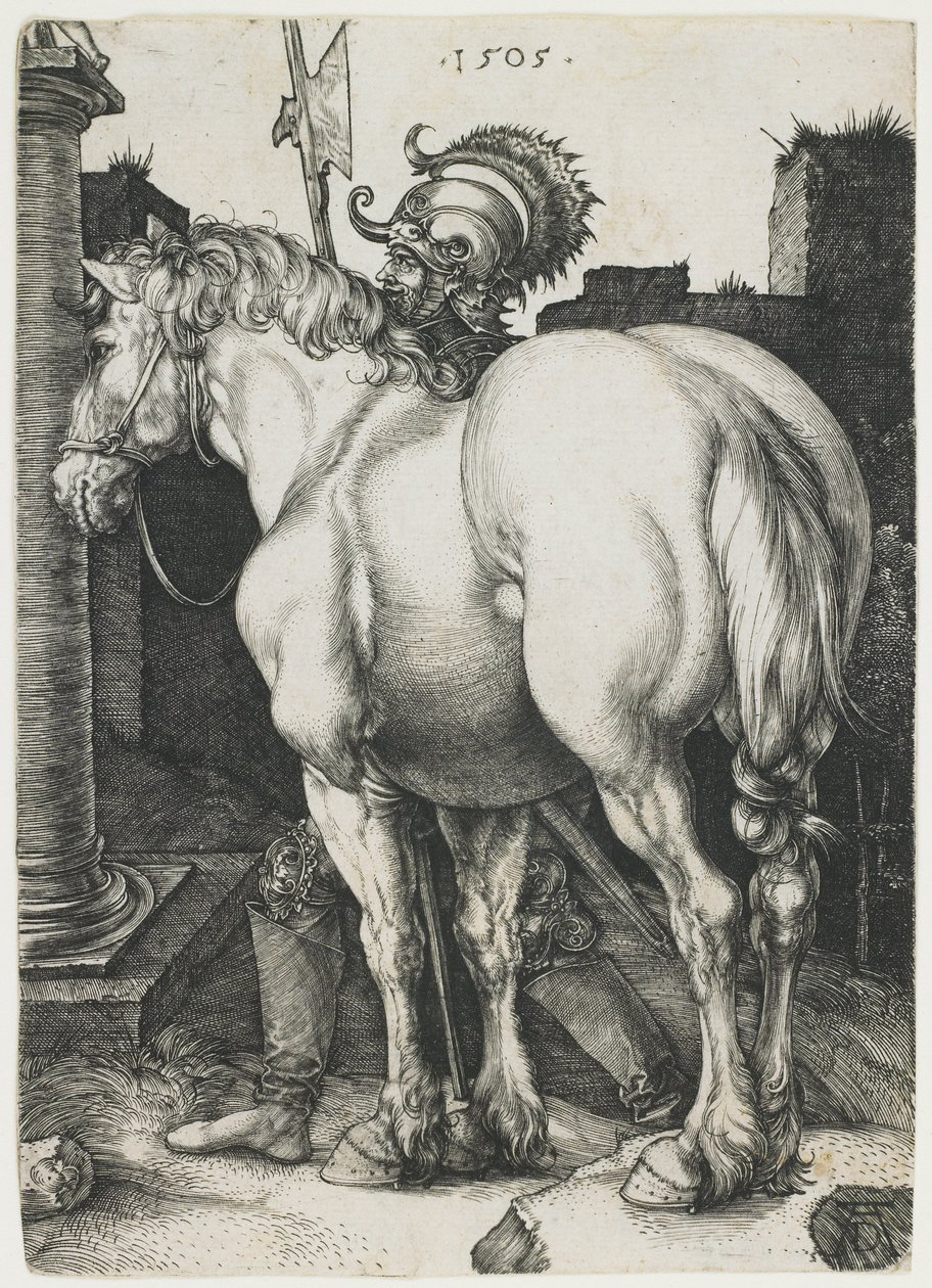 Den stora hästen av Albrecht Dürer
