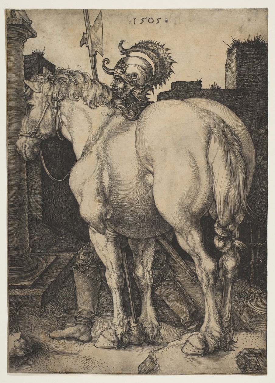 Den stora hästen av Albrecht Dürer