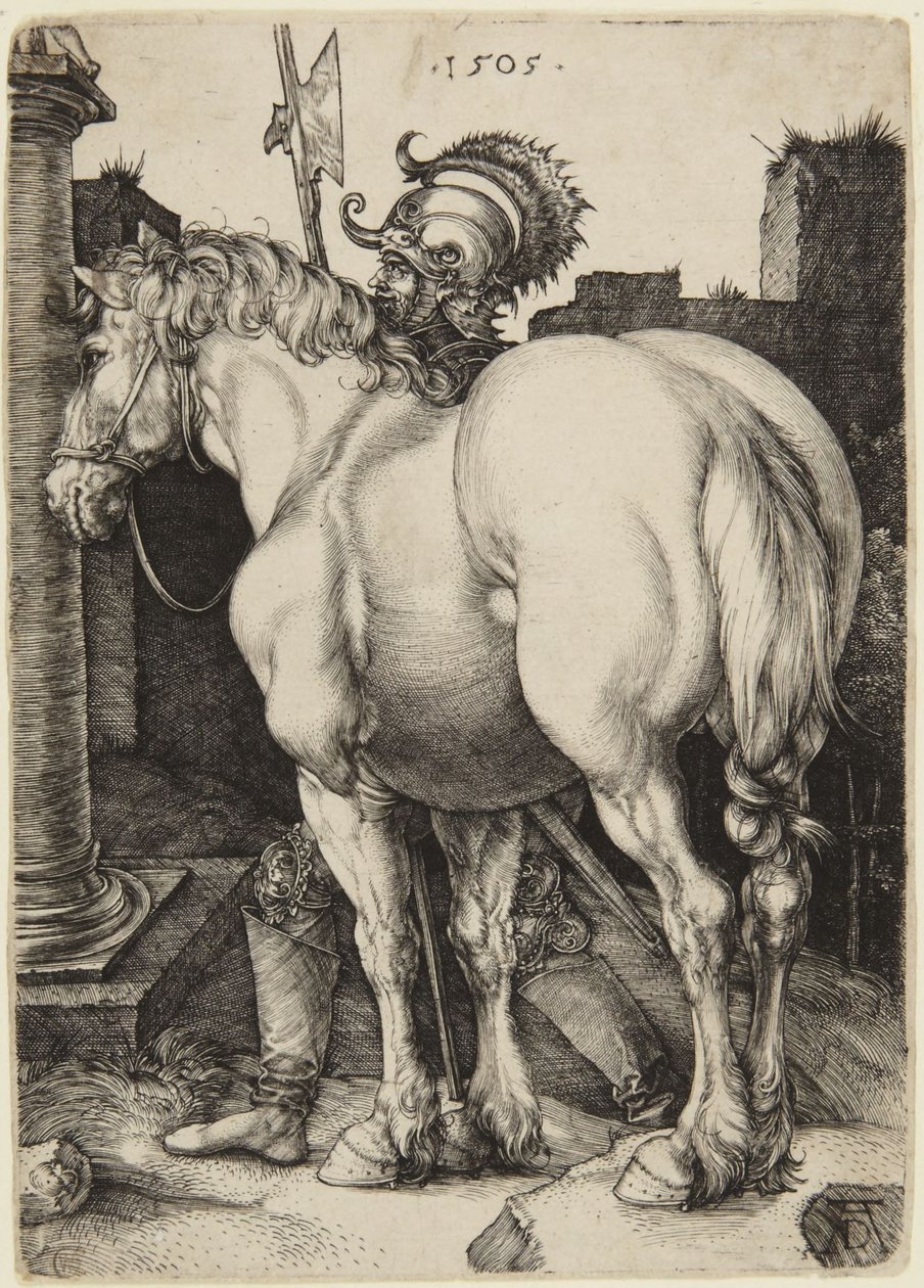 Den stora hästen av Albrecht Dürer