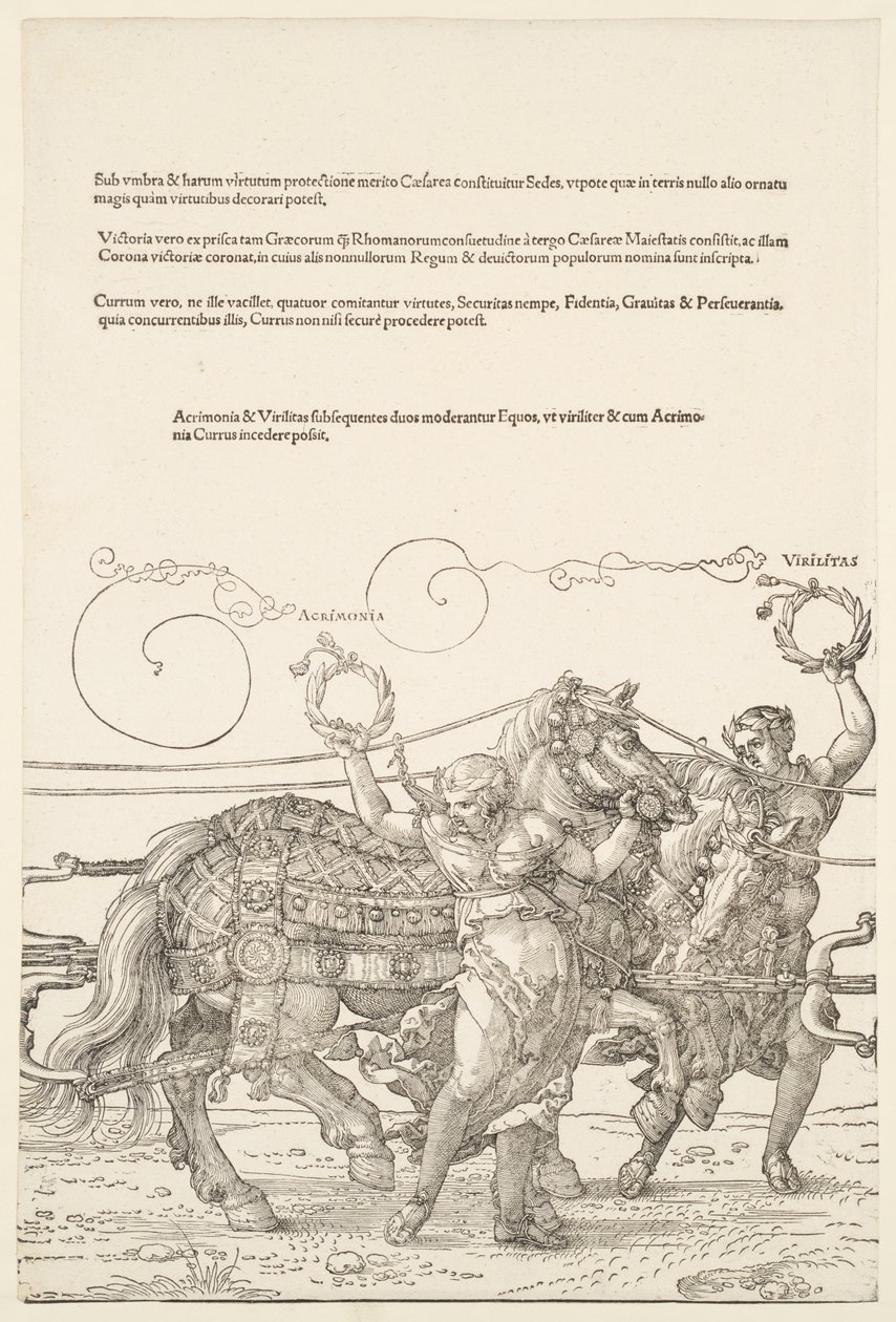 Den stora triumfvagnen: Acrimonia och Virilitas av Albrecht Dürer
