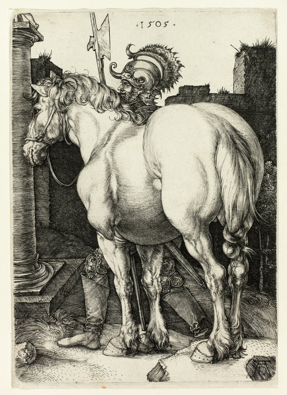 Den stora hästen av Albrecht Dürer
