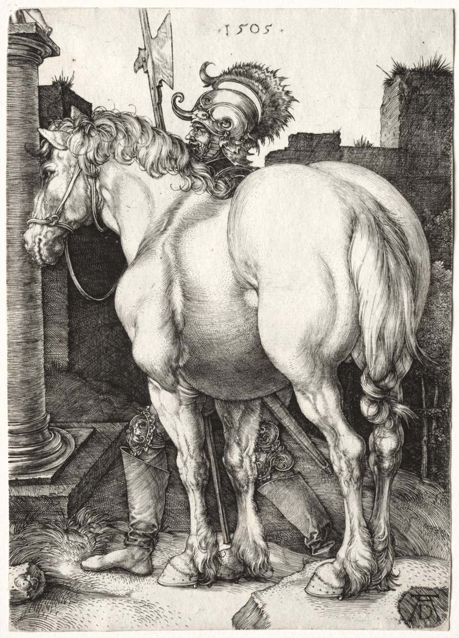 Den stora hästen av Albrecht Dürer