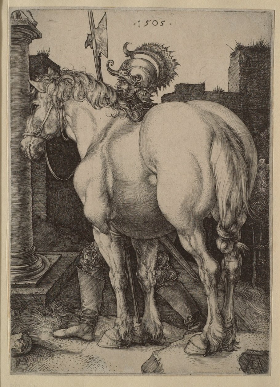 Den stora hästen av Albrecht Dürer
