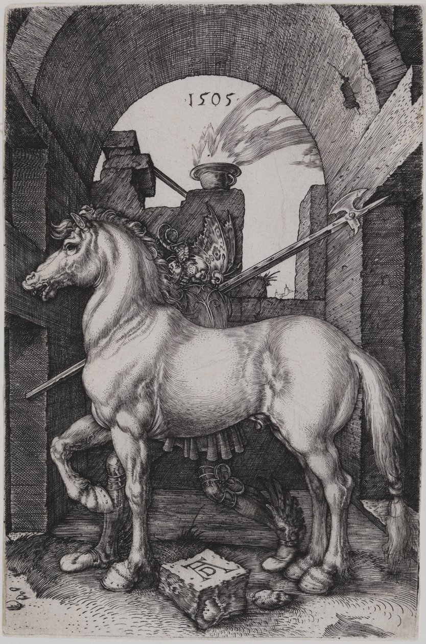 Den lilla hästen av Albrecht Dürer