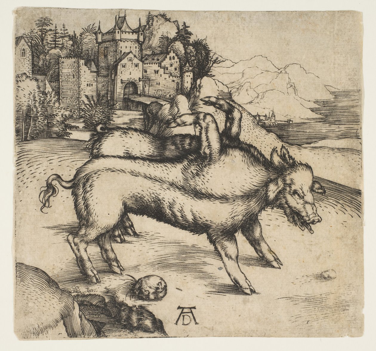 Den monstruösa grisen från Landser, ca. 1496. av Albrecht Dürer
