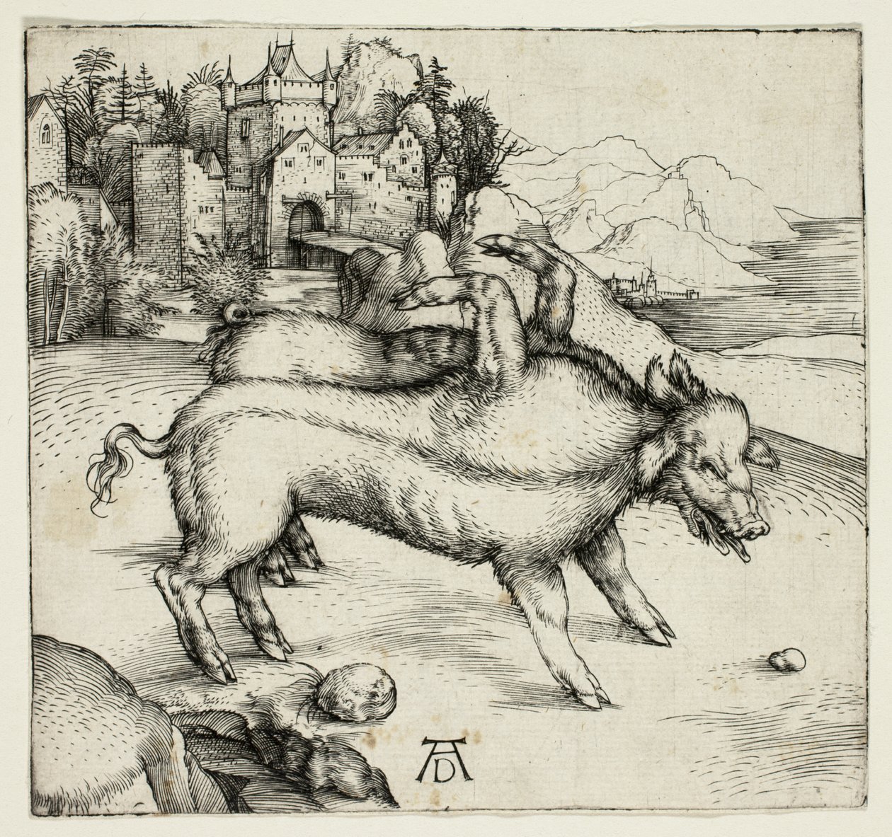 Den monstruösa suggan av Landser av Albrecht Dürer