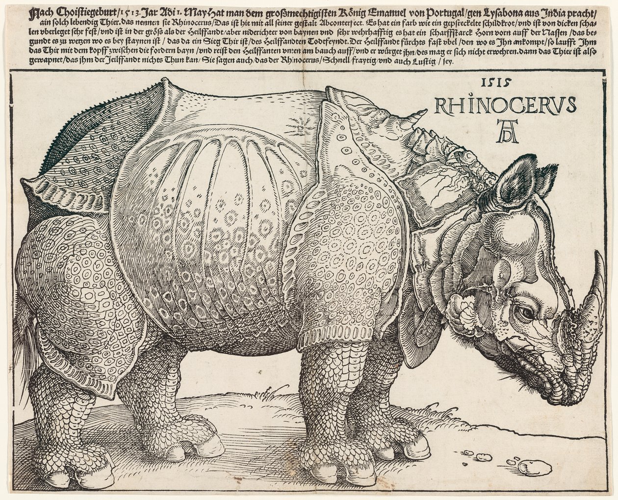 Noshörningen av Albrecht Dürer