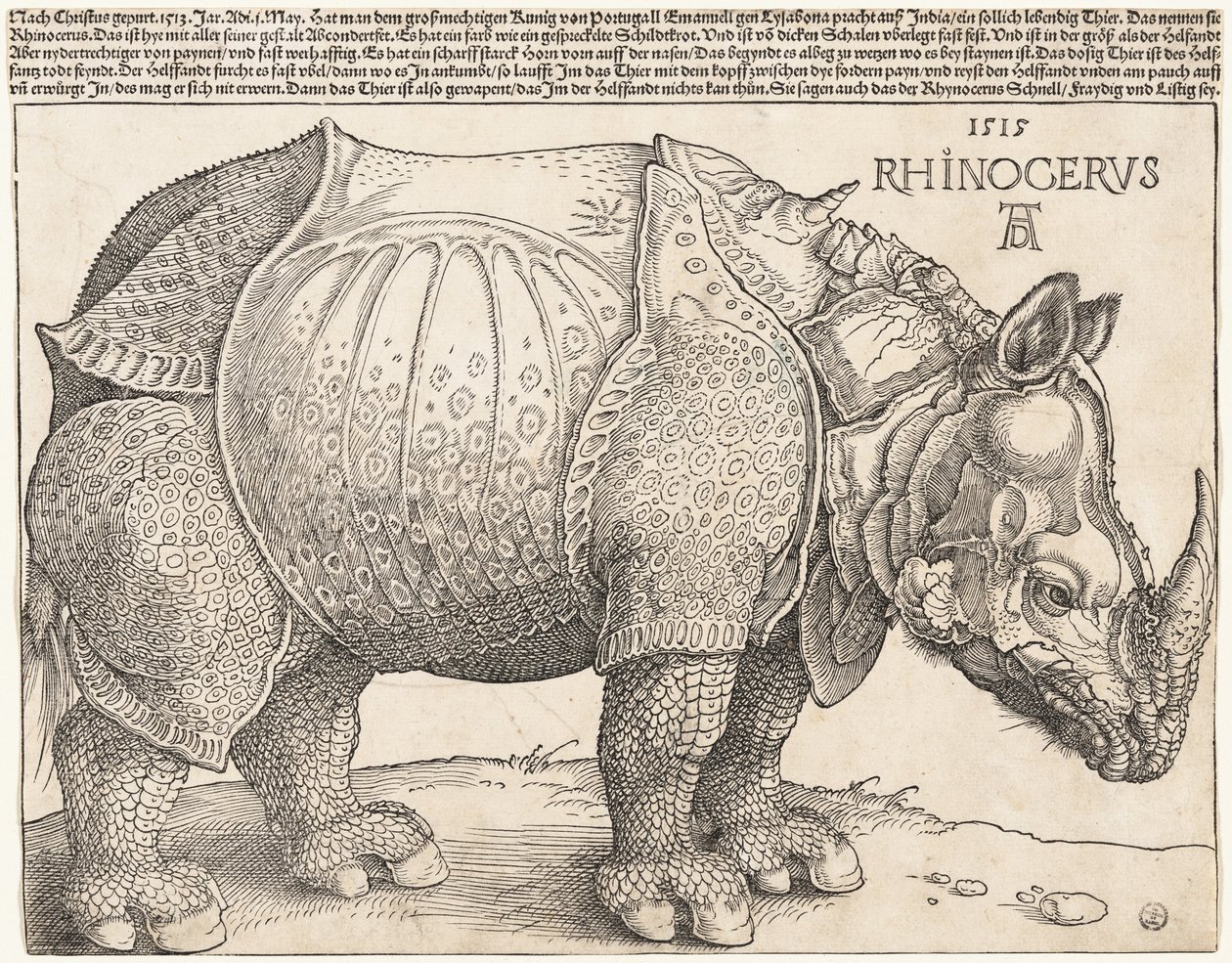 Noshörningen av Albrecht Dürer