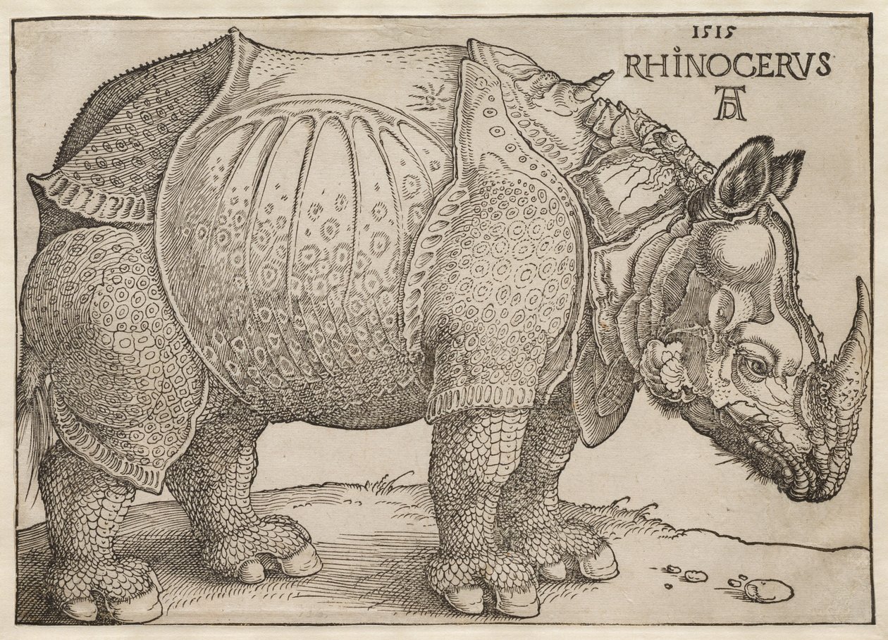 Noshörningen av Albrecht Dürer