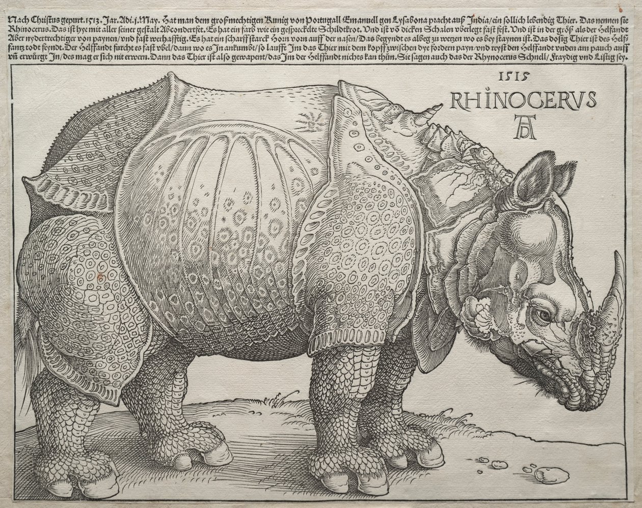 Noshörningen, 1515. av Albrecht Dürer