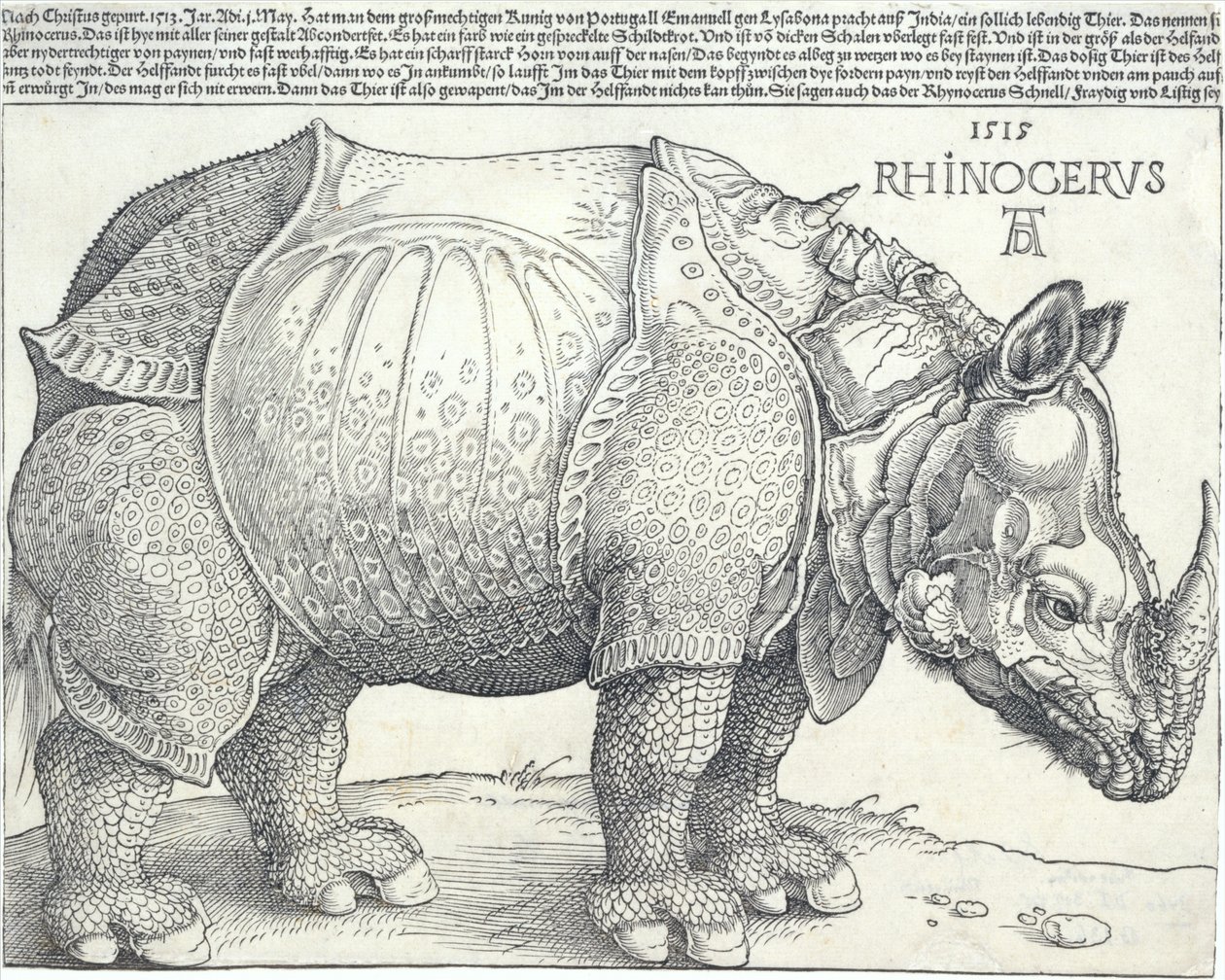 Noshörningen, 1515, 1515. av Albrecht Dürer