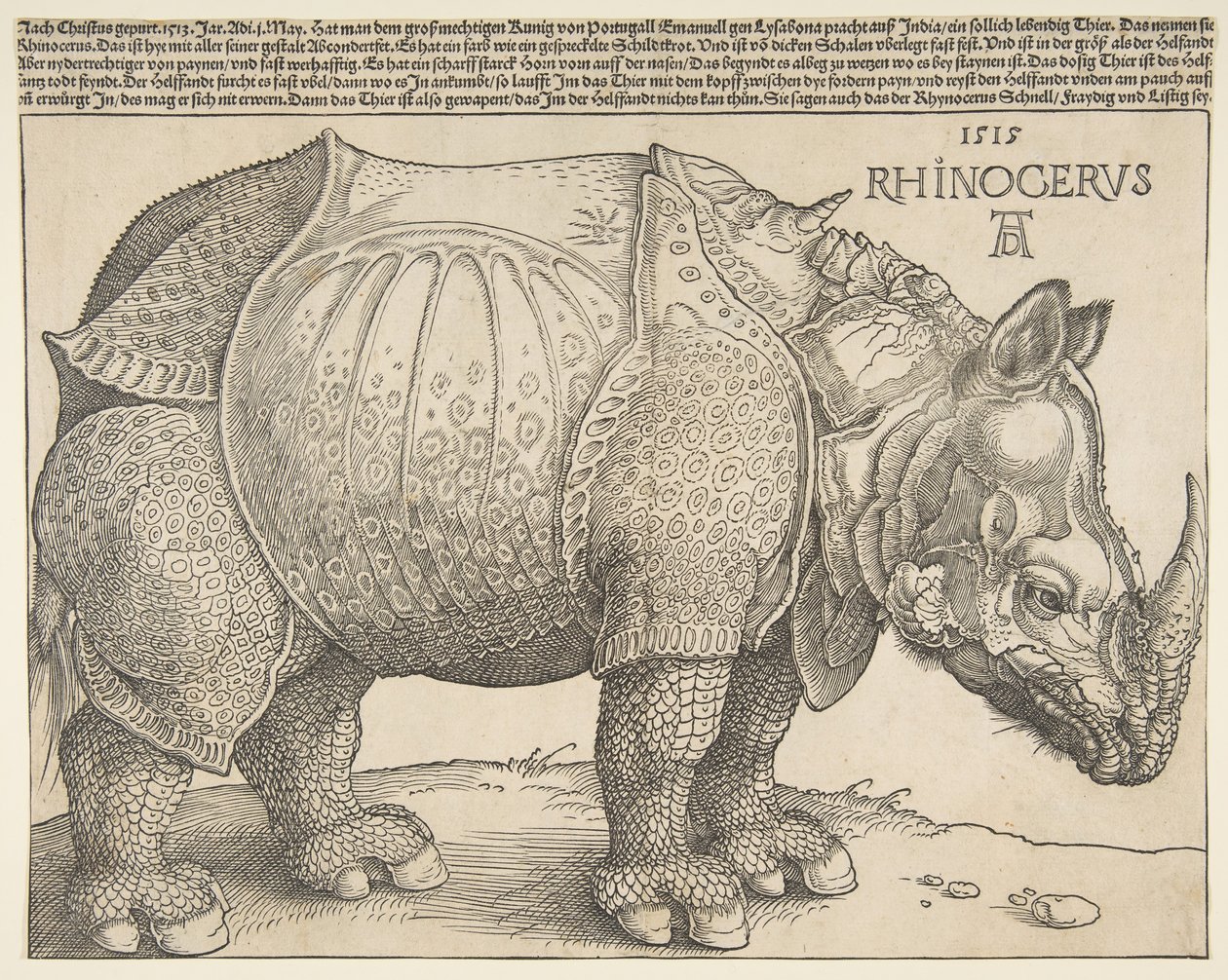 Noshörningen.n.d. av Albrecht Dürer