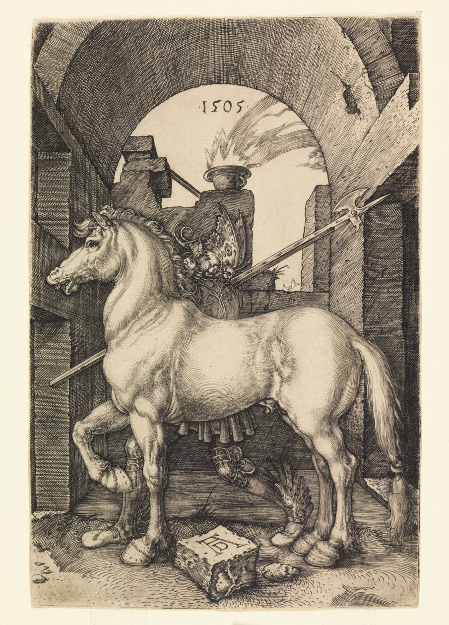 Den lilla hästen av Albrecht Dürer