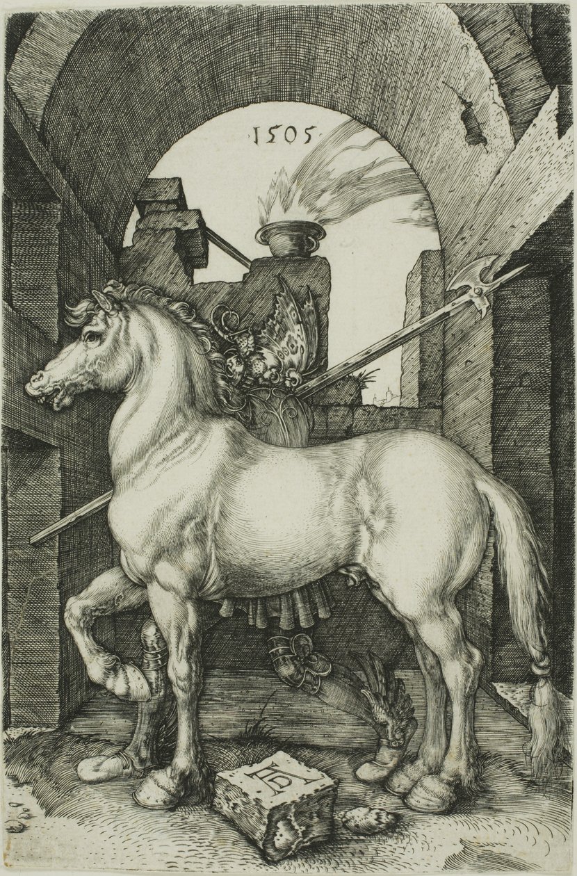 Den lilla hästen av Albrecht Dürer