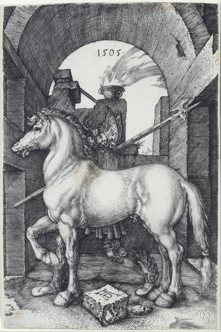 Den lilla hästen av Albrecht Dürer