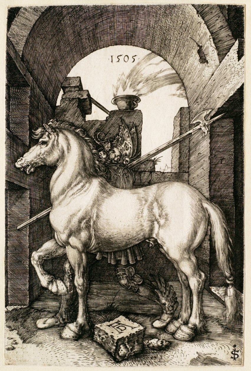 Den lilla hästen av Albrecht Dürer