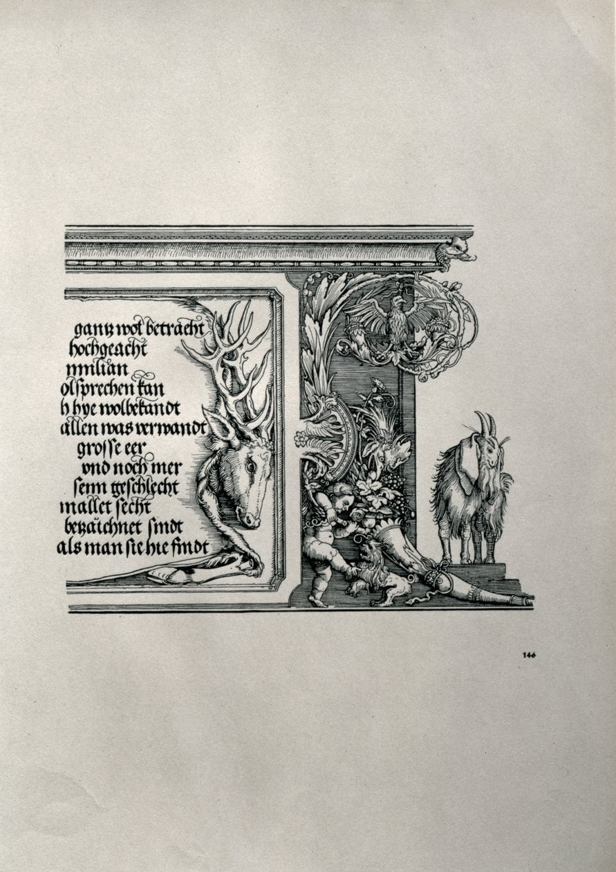 Triumfbågen av kejsar Maximilian I av Tyskland 1459-1519: detalj av ett hjortskinn med en inskription som hyllar kejsarnas familjeförbindelser, med en get med diskettöron, en symbol för akutheten av hea av Albrecht Dürer